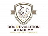 Dog R'evolution Academy