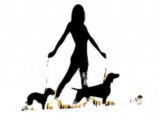Educaninus