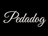 Pedagog