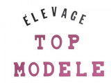 Top Modèle