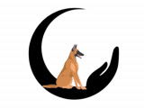 Institut Dog 06