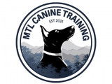 Montreal Canine Training