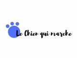 Le chien qui marche