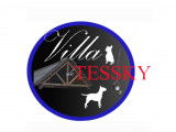 De la Villa de Tessky