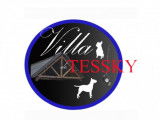 De la Villa de Tessky