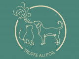 Truffe au Poil