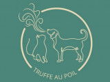 Truffe au Poil
