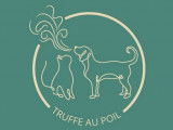 Truffe au Poil