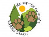 Les pattes en forêt