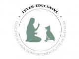 Fever