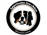 Apprivoise ton Chien