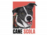Cane Scola