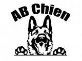 AB Chien