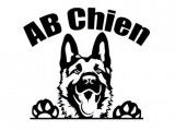 AB Chien