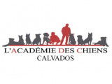 L'Académie des Chiens