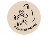 À Quatre Pattes