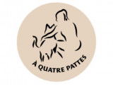 À Quatre Pattes
