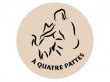 À Quatre Pattes