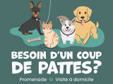 Besoin d'un coup de pattes ?