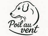 Poil au vent