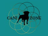 Canizone