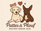 Pattes à Plouf