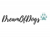 DreamOfDogs