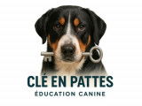 Clé en pattes