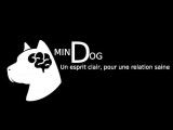 Minddog