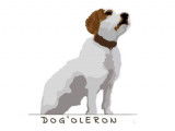 Dog'Oléron