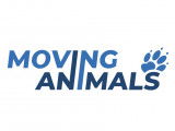 Moving Animals - Zurich