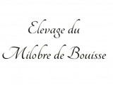 Du Milobre de Bouisse