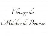 Du Milobre de Bouisse