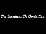 Des Gardiens De Cendrillon
