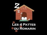 Les 4 Pattes du Romarin