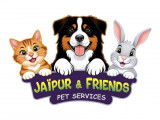 Jaïpur & Friends