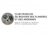 Club Français du Bouvier des Flandres et des Ardennes