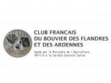 Club Français du Bouvier des Flandres et des Ardennes