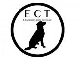 ECT