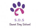 Sweet Dog School