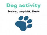 Dog Activity