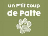 Un P'tit Coup de Patte