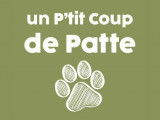 Un P'tit Coup de Patte