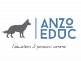 Anzo Educ