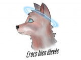 Crocs bien &eacute;lev&eacute;s
