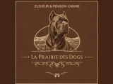 La Prairie des Dogs