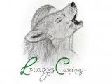 Louanges Canines