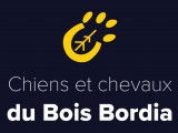 Chiens et chevaux du Bois Bordia