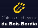Chiens et chevaux du Bois Bordia