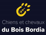 Chiens et chevaux du Bois Bordia